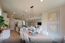 1513 Crested Iris Way photo 4