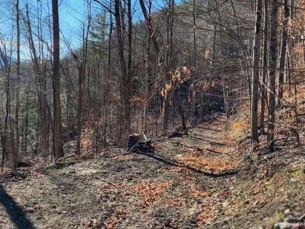 0 Gorge Road, Middleburgh, NY 12122