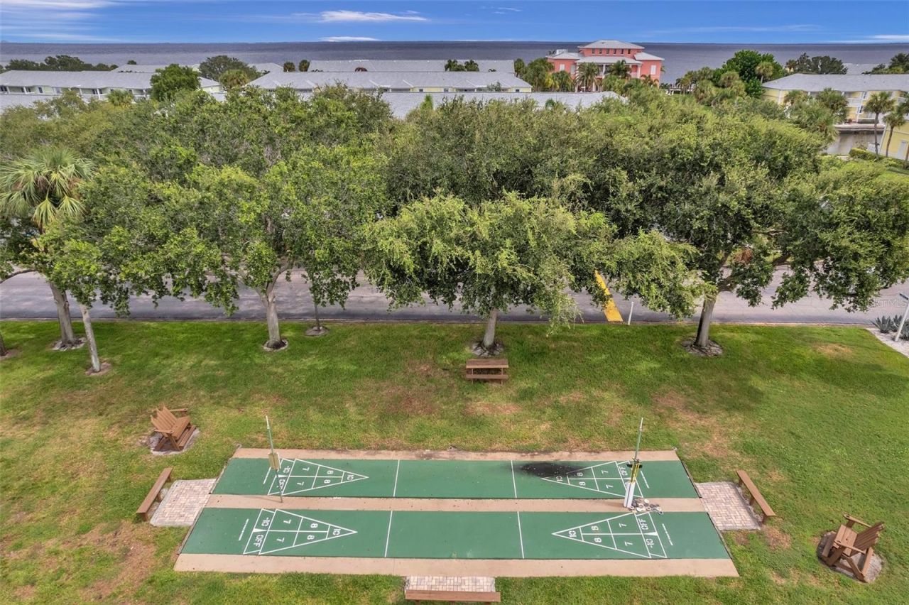 5011 Starfish Drive Se, Unit D, Saint Petersburg, FL 33705 Photo