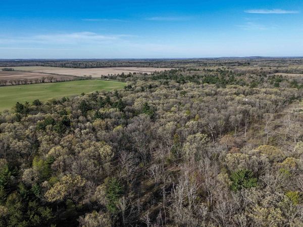 19.81 Acres 6th Avenue, Grand Marsh, WI 53936