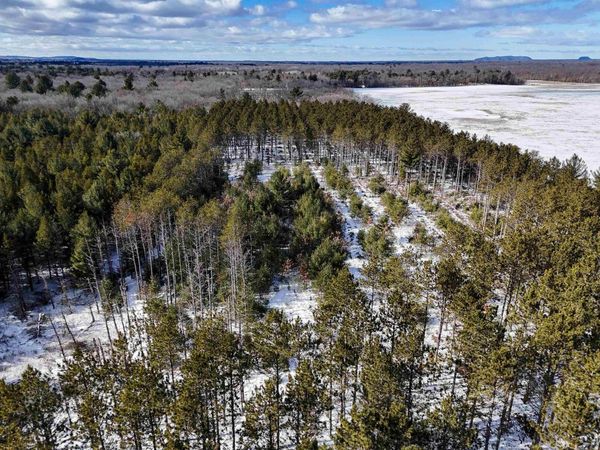 19.81 Acres 6th Avenue, Grand Marsh, WI 53936