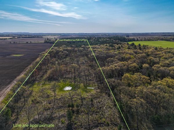 19.81 Acres 6th Avenue, Grand Marsh, WI 53936