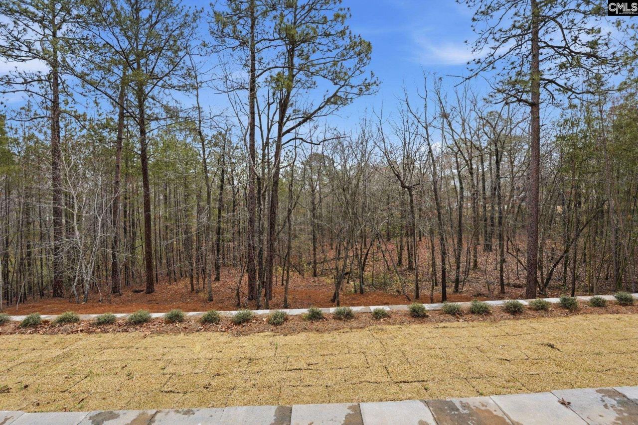 389 Highland Pointe Drive Photo 79