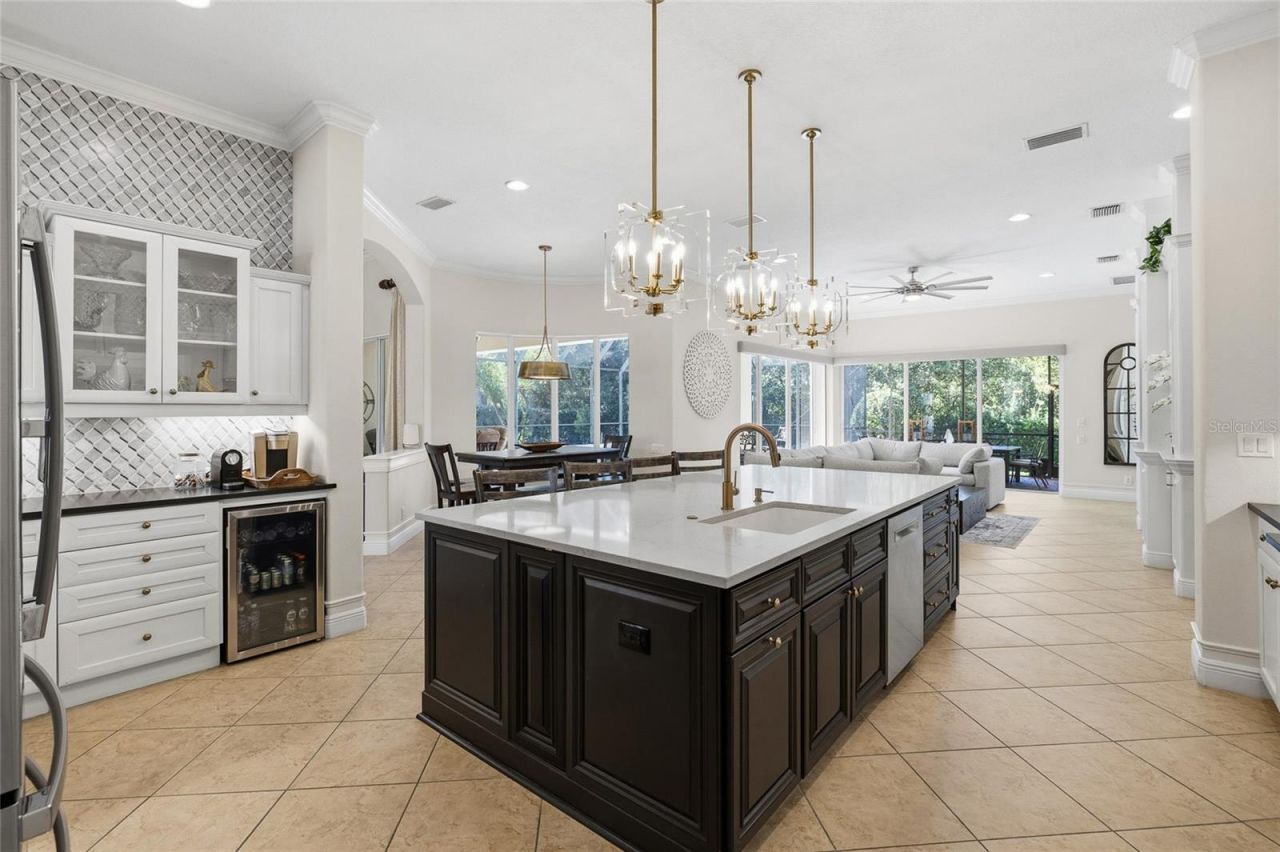 6113 Audubon Manor Boulevard, Lithia, FL 33547 Photo