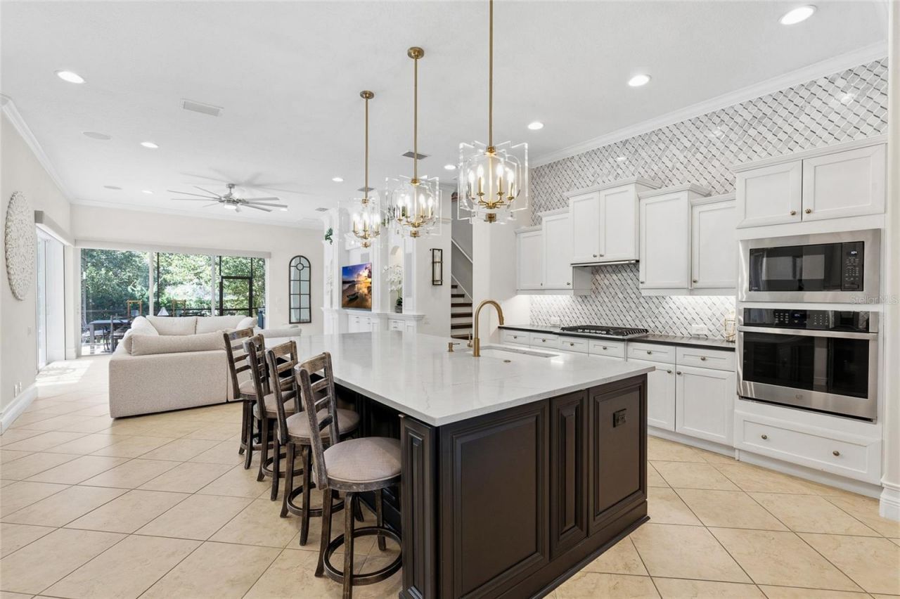 6113 Audubon Manor Boulevard, Lithia, FL 33547 Photo