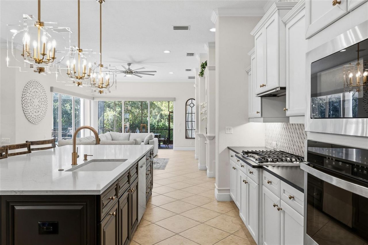 6113 Audubon Manor Boulevard, Lithia, FL 33547 Photo