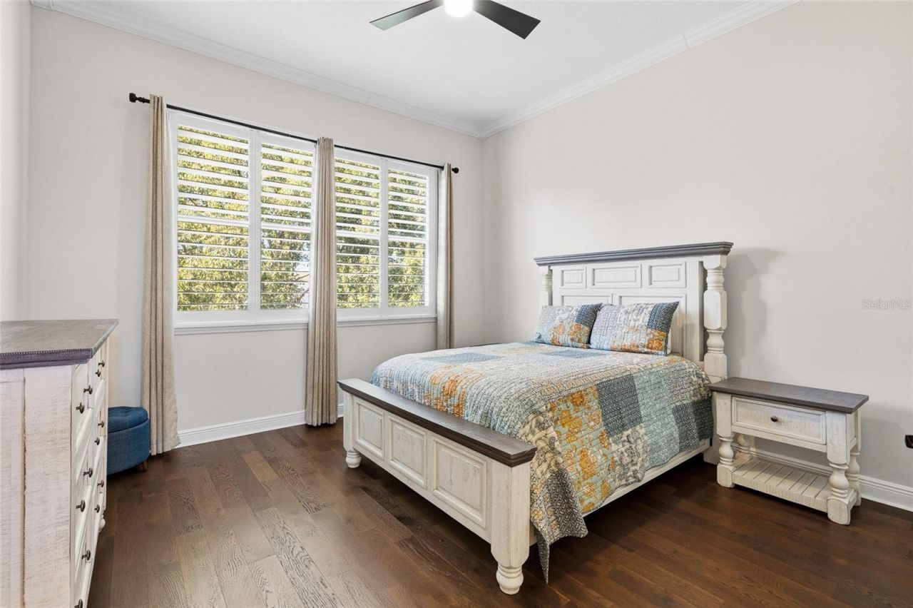 6113 Audubon Manor Boulevard, Lithia, FL 33547 Photo