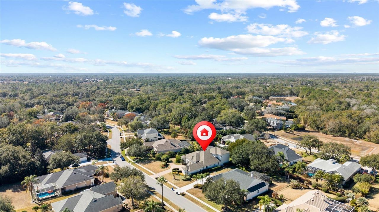 6113 Audubon Manor Boulevard, Lithia, FL 33547 Photo