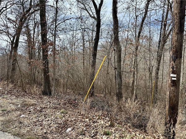 Lot 15 Billingsley Drive, Bella Vista, AR 72715