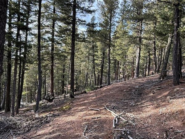 461 Paradiso Road , Divide, CO 80814