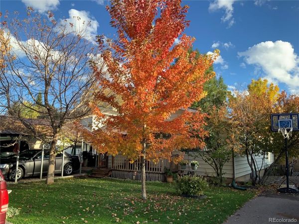 866 Cleveland Street, Meeker, CO 81641