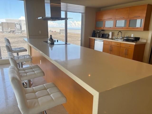 100 Lincoln Rd, Unit PH4, Miami Beach, FL 33139 Photo