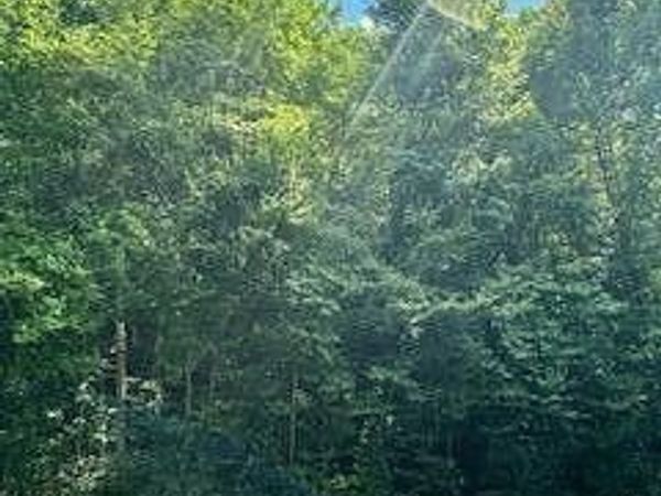 Lakeview Drive, Sevierville, TN 37876