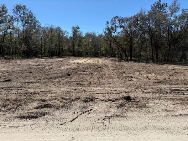 0000 NE 82ND PLACE, BRONSON, FL 32621