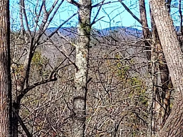 5354 West Ridge Road , Ferguson, NC 28624