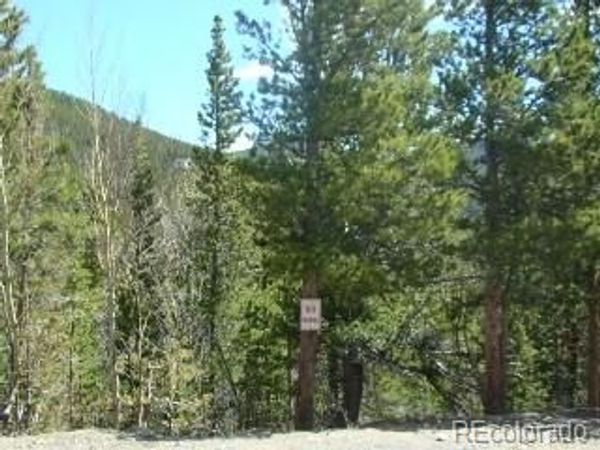 W Lot 345 Alice Road , Idaho Springs, CO 80452