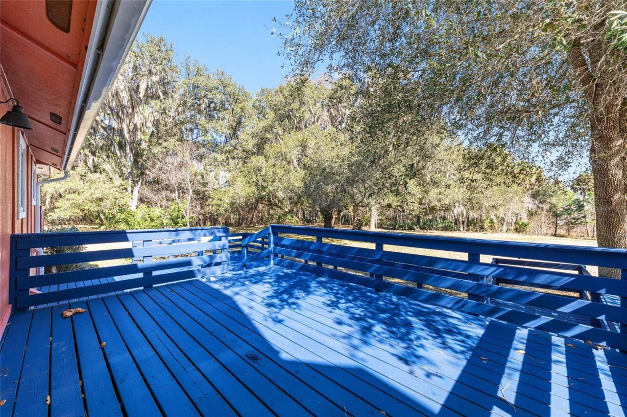 22157 NW 87th Avenue Road, Micanopy, FL 32667 Photo