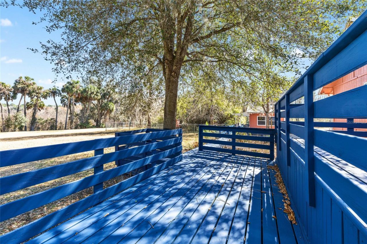 22157 NW 87th Avenue Road, Micanopy, FL 32667 Photo