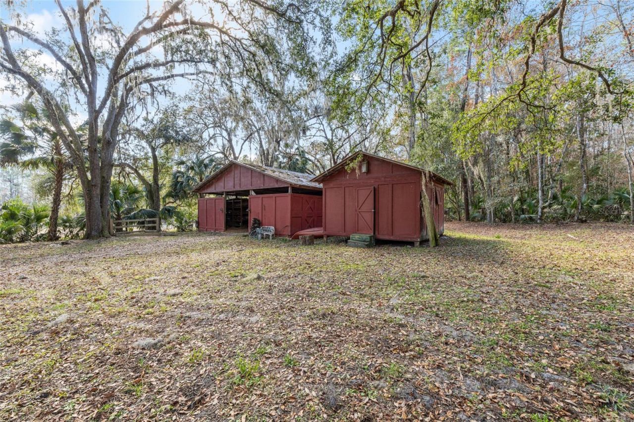 22157 NW 87th Avenue Road, Micanopy, FL 32667 Photo