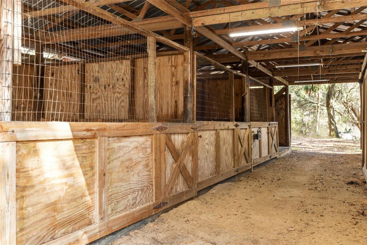 22157 NW 87th Avenue Road, Micanopy, FL 32667 Photo