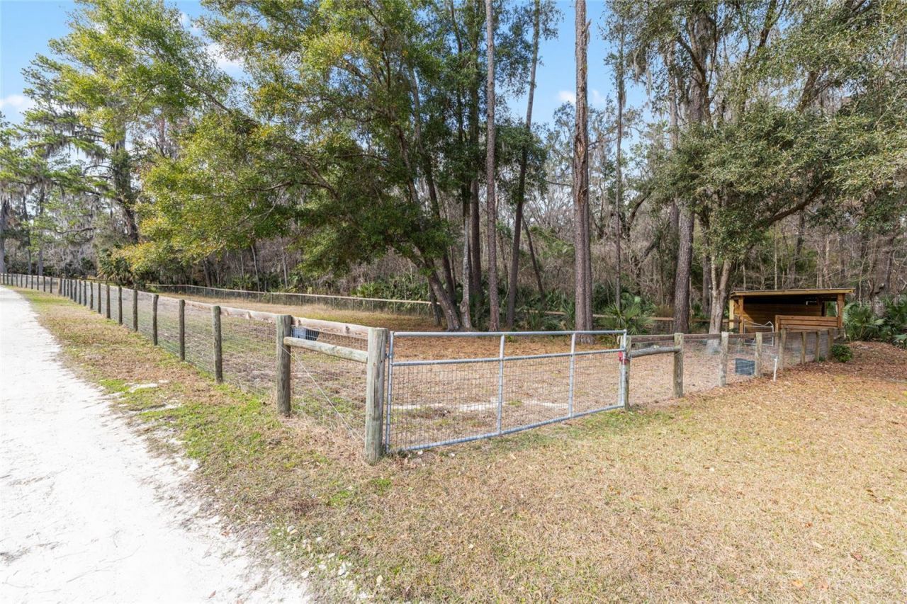 22157 NW 87th Avenue Road, Micanopy, FL 32667 Photo