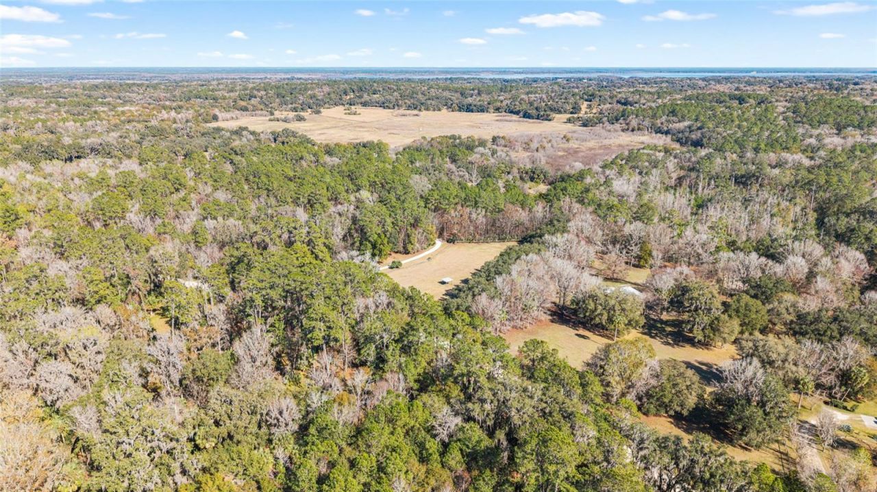 22157 NW 87th Avenue Road, Micanopy, FL 32667 Photo