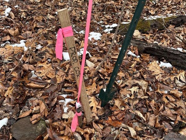 #167 Rolling Road, Lincolnton, NC 28092