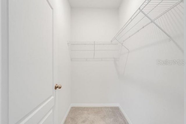 2398 Greenwood Oak Drive, Ocoee, FL 34761 Photo