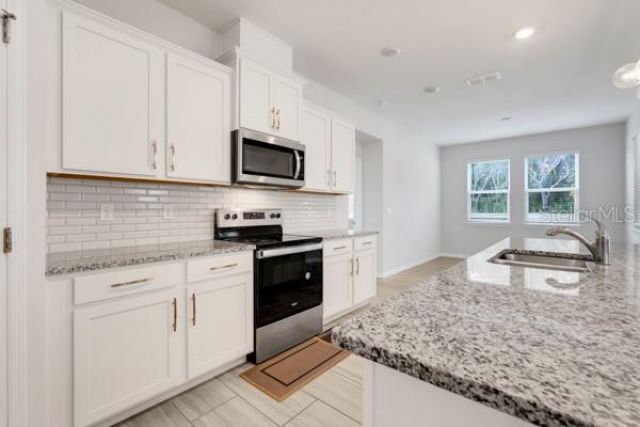 2398 Greenwood Oak Drive, Ocoee, FL 34761 Photo