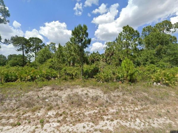 733 PALMER STREET E, LEHIGH ACRES, FL 33974