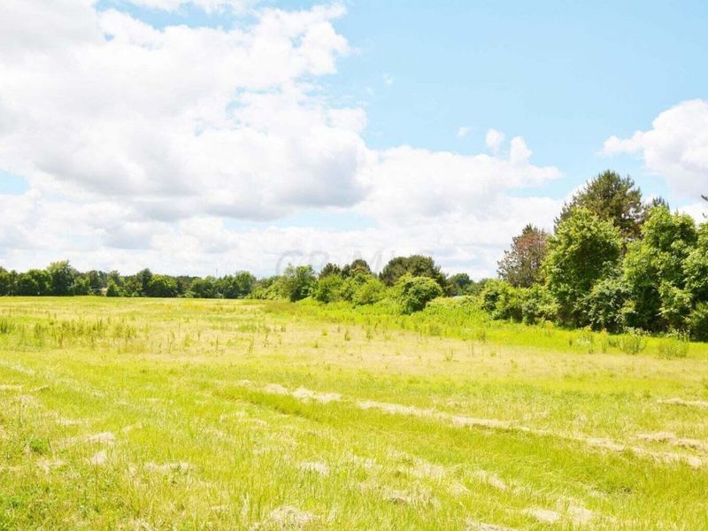 6145 Carters Corner Road, Sunbury, OH 43074 Photo 1