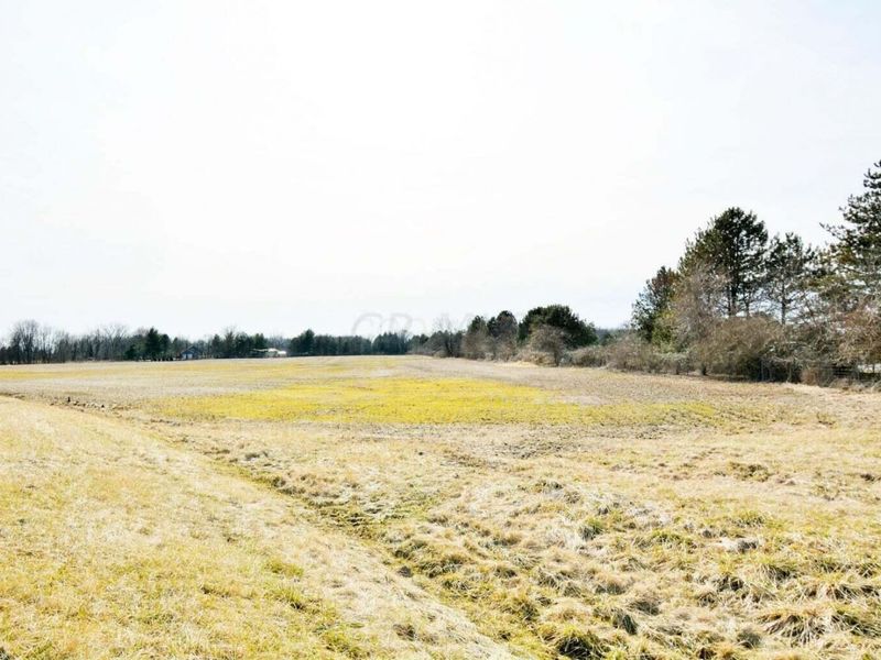 6145 Carters Corner Road, Sunbury, OH 43074 Photo 7