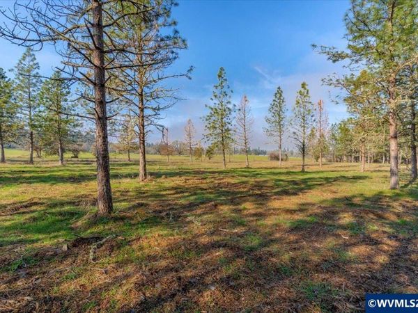 0060356 TAX Lot Old Bellinger Scale Rd, Lebanon, OR 97355