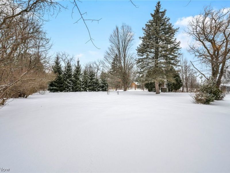 3959 Beach Road, Medina, OH 44256 Photo 42