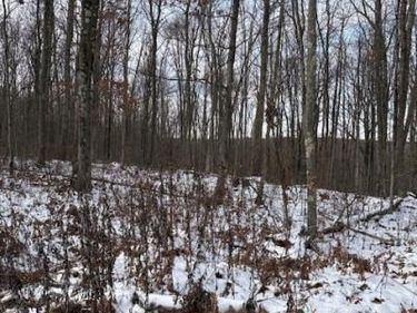 0 LITTLE WOLF ROAD, CLARENCE, PA 16829