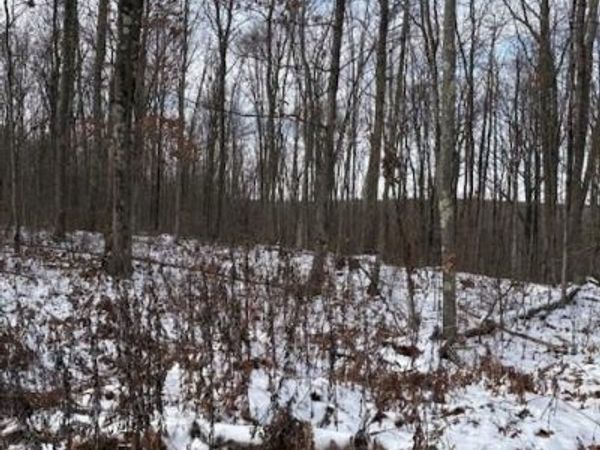 0 LITTLE WOLF ROAD, CLARENCE, PA 16829