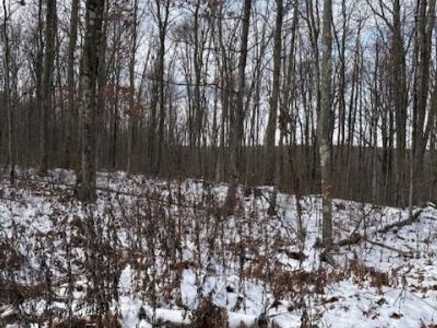 0 Little Wolf Road, Clarence, PA 16829 Main Photo