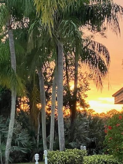 11079 SE Sea Pines Circle, Hobe Sound, FL 33455 Photo