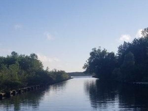 TBD 6 Lake Ave S Avenue, Tower, MN 55790