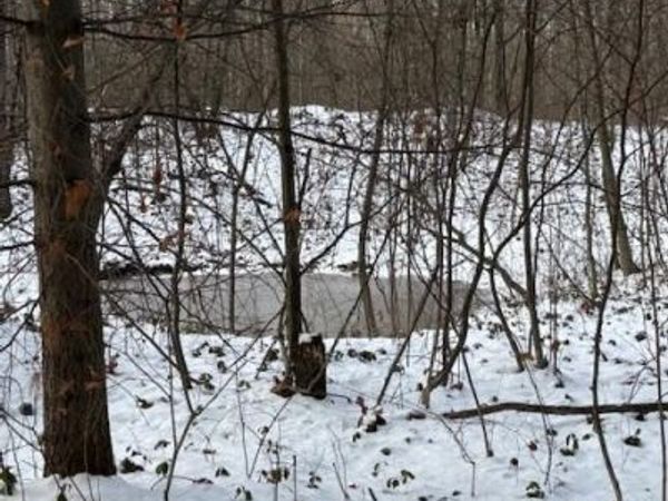 0 LITTLE WOLF ROAD, CLARENCE, PA 16829