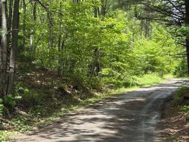 0 LITTLE WOLF ROAD, CLARENCE, PA 16829