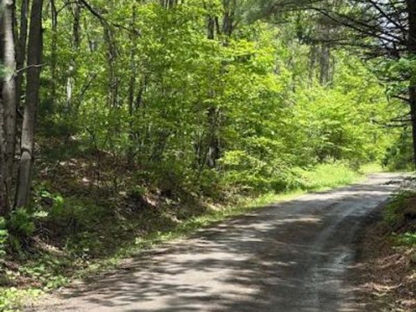 0 LITTLE WOLF ROAD, CLARENCE, PA 16829