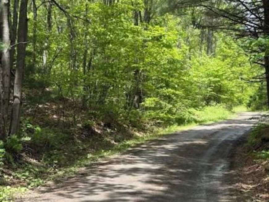 0 Little Wolf Road, Clarence, PA 16829 Main Photo