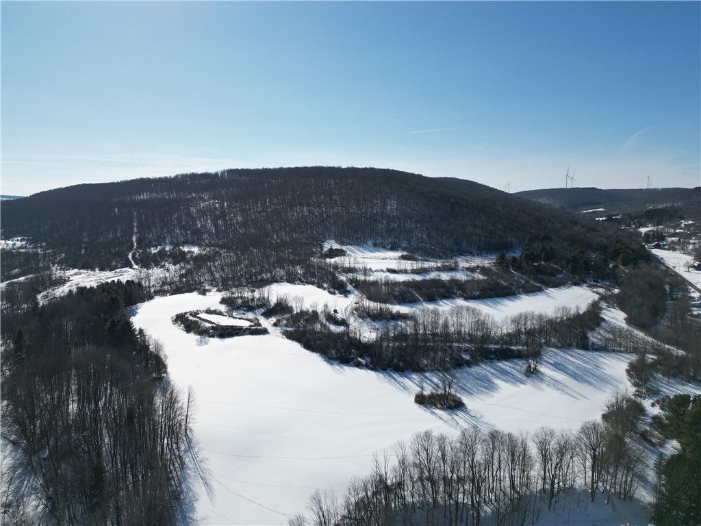 County Route 60, Greenwood, NY 14839 Main Photo