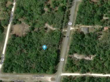 7445 TREIMAN BOULEVARD, WEBSTER, FL 33597