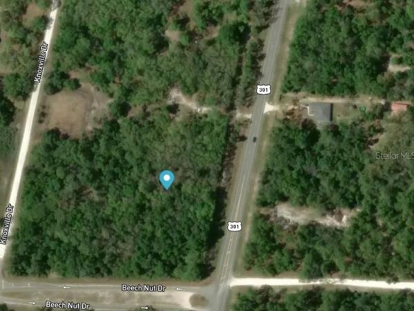 7445 TREIMAN BOULEVARD, WEBSTER, FL 33597