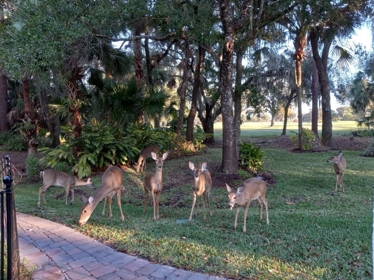 3171 Dick Wilson Drive, Sarasota, FL 34240 Photo