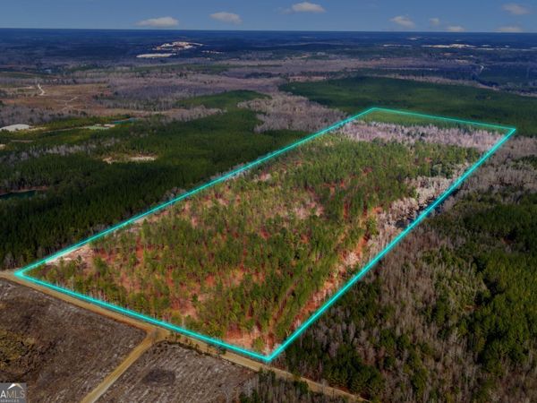 TRUSLOW EAST New Hopewell Church Road, Jeffersonville, GA 31044