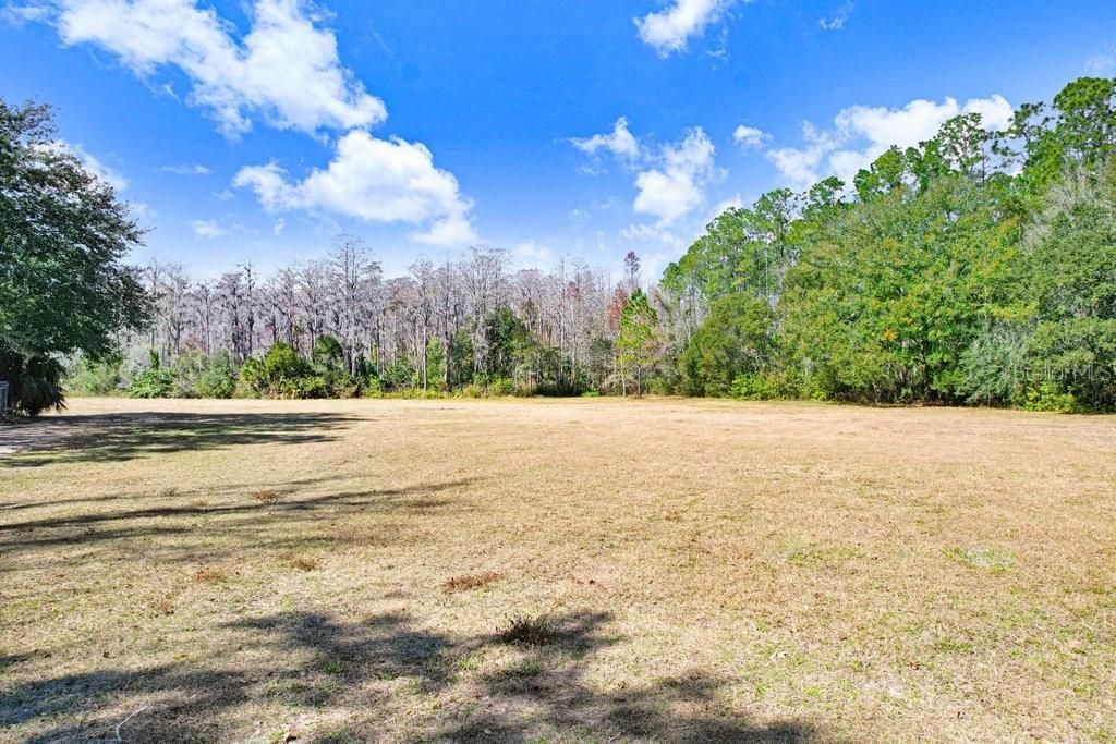 17308 Tobacco Road, Lutz, FL 33558 Photo