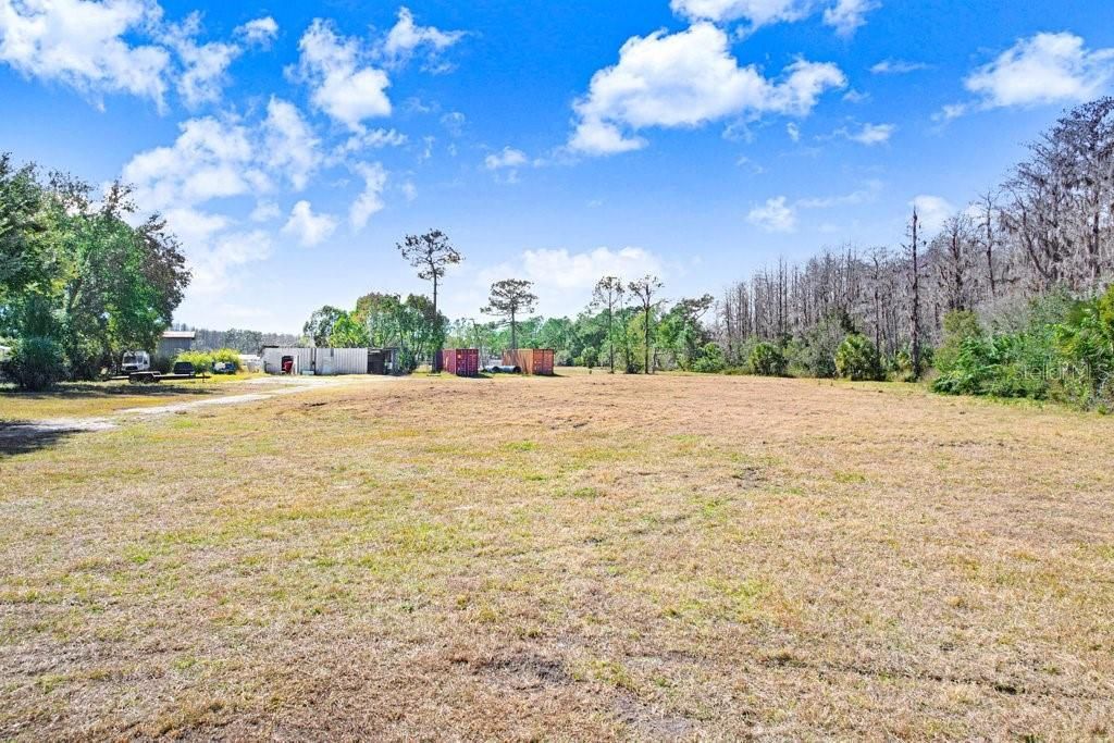17308 Tobacco Road, Lutz, FL 33558 Photo